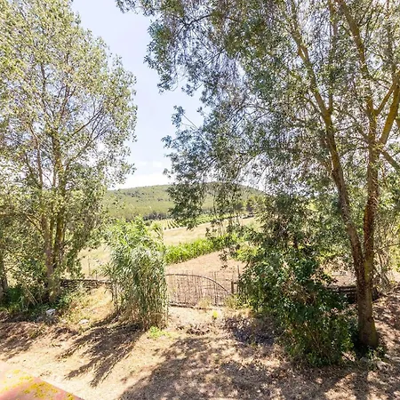 Ca La Rosalia El Pla de Manlleu